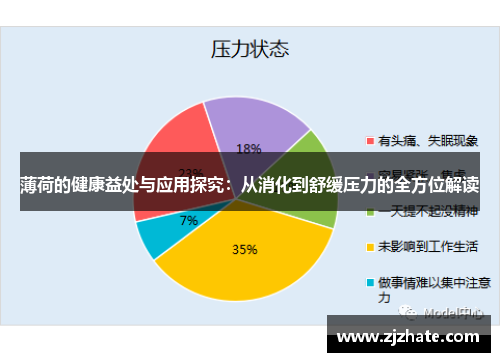 薄荷的健康益处与应用探究：从消化到舒缓压力的全方位解读